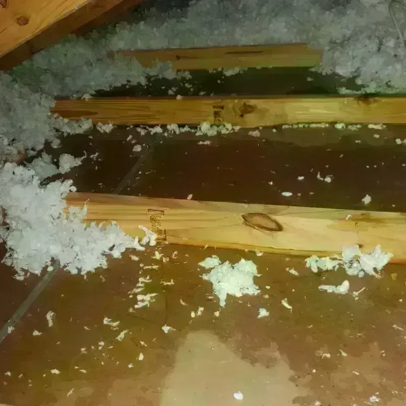 Attic Water Damage in Schoharie County, NY